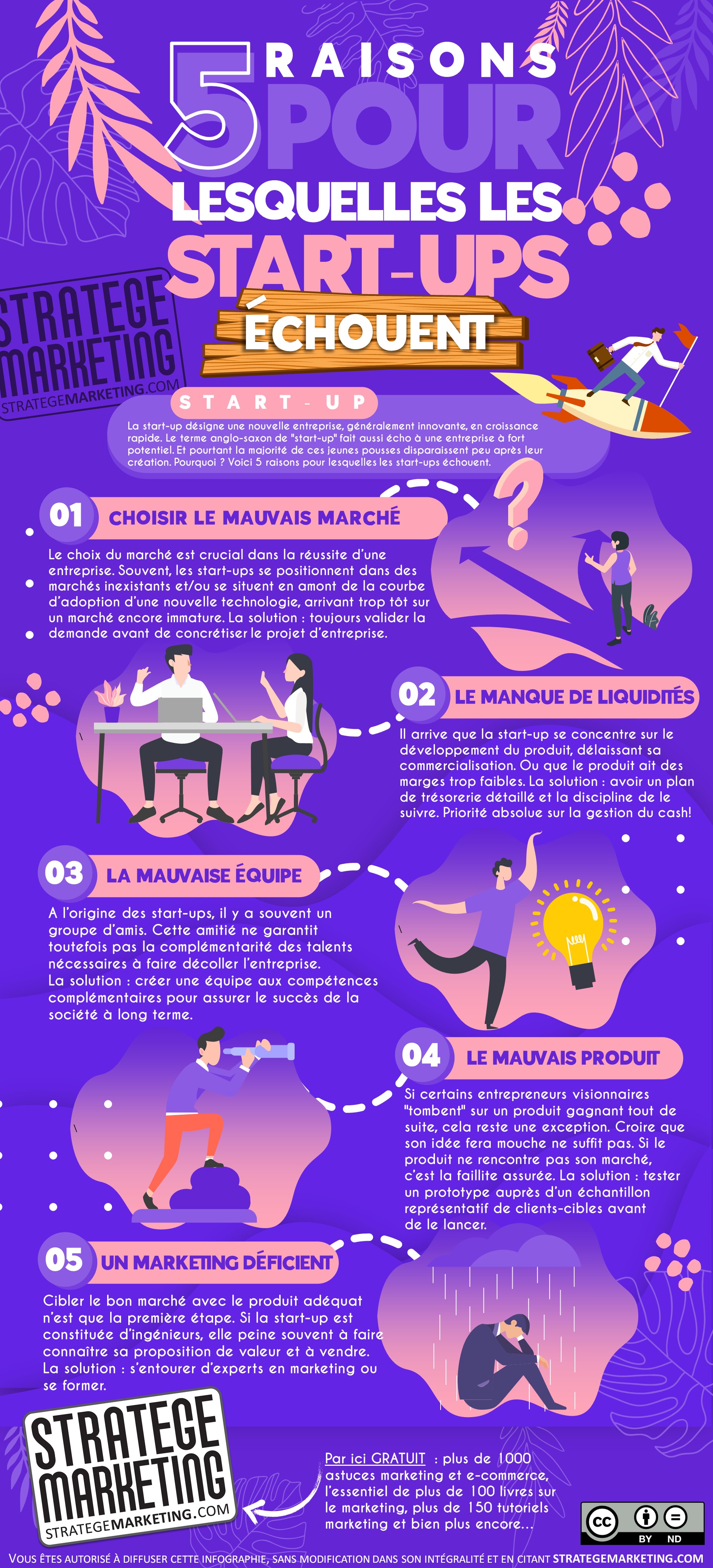 infographie 5 raisons pour lesquelles les start-ups échouent